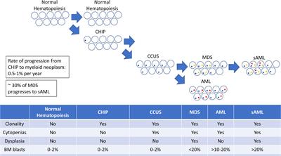 Navigating the contested borders between myelodysplastic syndrome and acute myeloid leukemia